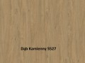 Dąb kamienny 5527.jpg