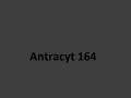antracyt podpisany .jpg
