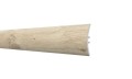 dąb szary-20919.jpg