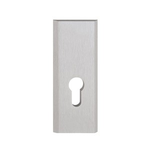 Szyld górny TOTAL na WKŁADKĘ 105mm, inox plus