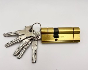 Wkładka do drzwi ABUS 30/40, 5 kluczy, mosiądz, D10PS,  ATEST C  